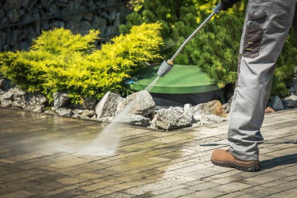 Best Driveway Pressure Washing  in Pantops, VA