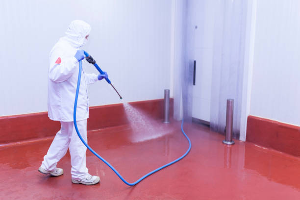 Best Solar Panel Cleaning  in Pantops, VA